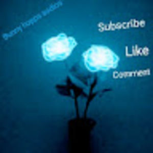 Meet your Posher, Bunny hops